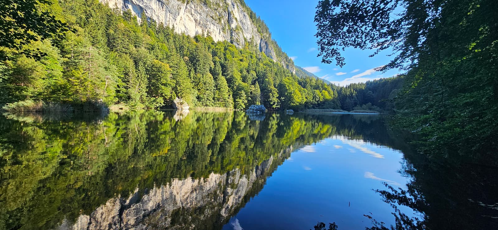 Berglsteiner See an einem Sommermorgen – Wald und Felswand spiegeln sich im ruhigen Wasser