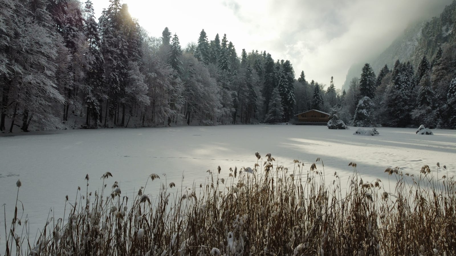Zugefrorener, verschneiter Berglsteiner See mit Schilf im Vordergrund und tief verschneitem Wald
